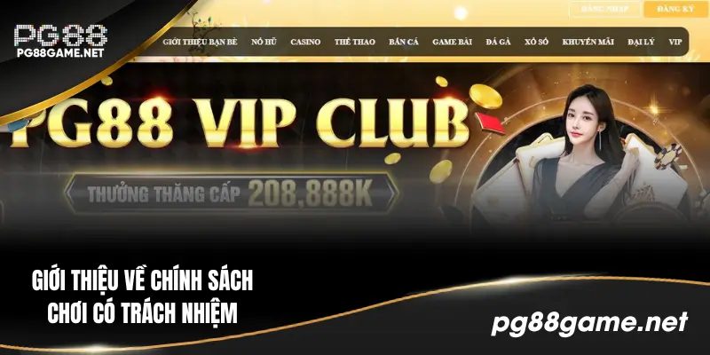 Định nghĩa thuật ngữ chơi có trách nhiệm