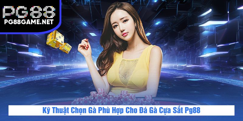 Kỹ Thuật Chọn Gà Phù Hợp Cho Đá Gà Cựa Sắt Pg88